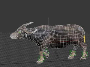 Water buffalo Animated 3D Model