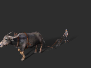 Asian farmer People 3Dモデル