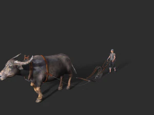 Азіатський фермер людей 3D Модель