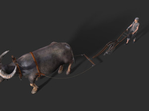 Asian farmer People 3D 모델