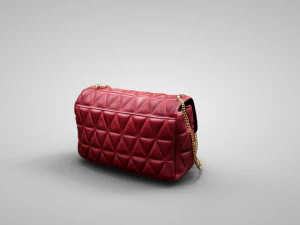 Medium Antigona Satchel Bag 3D Model