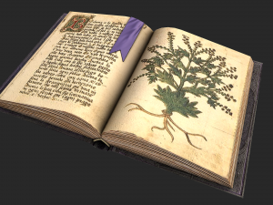 herbalist books set Model 3D