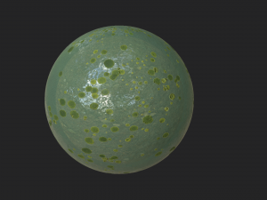lake with water lilies textures CG 纹理