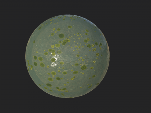 lake with water lilies textures CG 纹理