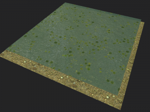 lake with water lilies textures CG 纹理