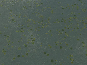 water textures pack CG Textures