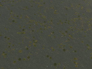 water textures pack CG Textures