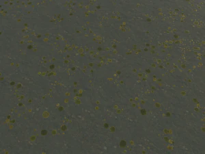 water textures pack CG Textures