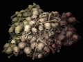 pile of bones and skulls 3D मॉडल