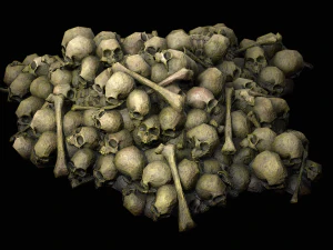 Pile of Bones and Skulls Cemetery Dungeon Environment 3D Model