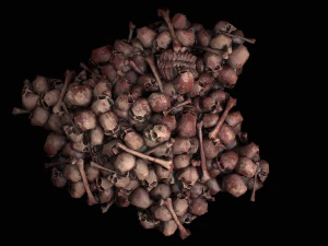 Pile of Bones and Skulls Cemetery Dungeon Environment 3D Model
