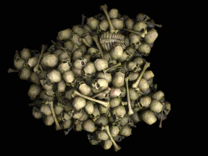 Pile of Bones and Skulls Cemetery Dungeon Environment 3D Model