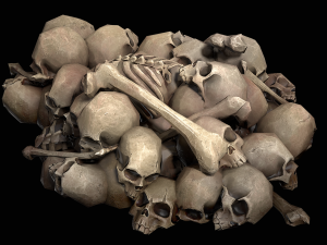 pile of bones Modelo 3D