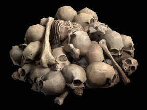 pile of bones Modelo 3D