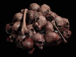 pile of bones 3D Model
