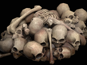 pile of bones Modelo 3D