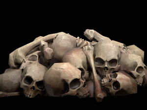 pile of bones Modelo 3D