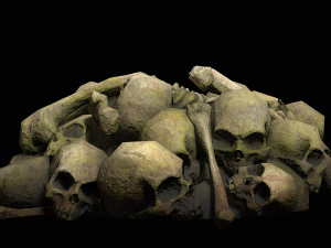 pile of bones Modelo 3D