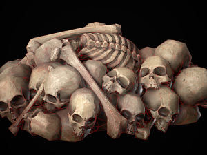 pile of bones Modelo 3D