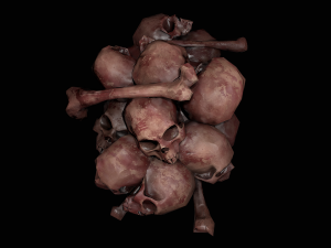 small pile of skulls 3D मॉडल