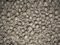 pile of skulls tile texture CG Textures