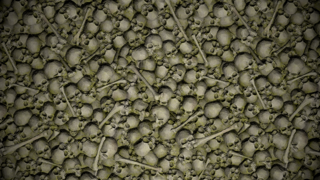 pile of bones with moss texture CG 텍스쳐 .c4d .max .obj .3ds .fbx .stl .blend 