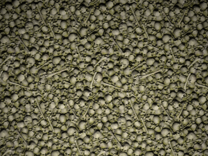 pile of bones with moss texture CG 텍스쳐