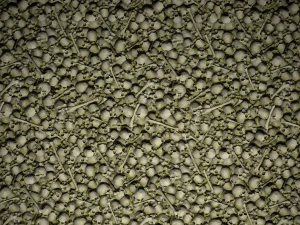 pile of bones with moss texture CG Textures
