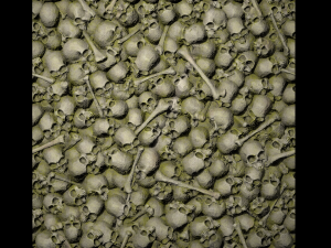 pile of bones with moss texture CG 텍스쳐