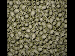 pile of bones with moss texture CG Textures