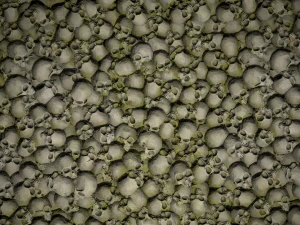 skulls with moss texture CG Textures
