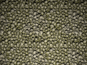 skulls with moss texture CG Dokuları