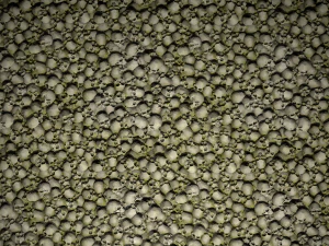 skulls with moss texture CG Textures