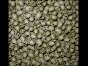 skulls with moss texture CG Textures