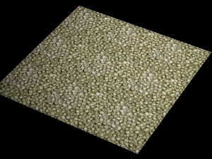 skulls with moss texture CG Dokuları
