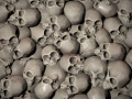 skulls texture texture CG Textures