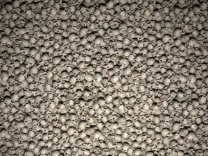 頭蓋骨のテクスチャ テクスチャ CG テクスチャ