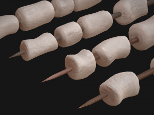 marshmallows colorful on sticks Modèle 3D