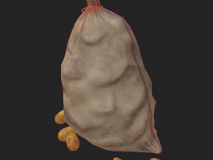 sack pack Modèle 3D