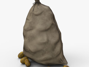 bag of potatoes 3D Model