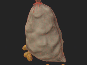 bag of potatoes 3D Model