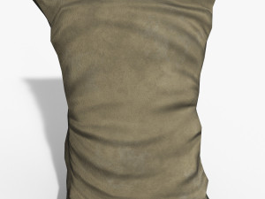 sack standart 3D Model