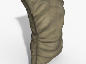 sack standart 3D Model