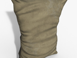 sack standart 3D Model