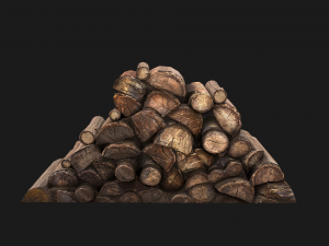 Little Pile of wood 3D Модель