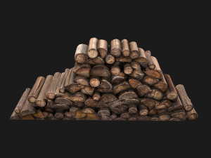 Pile of firewood 3D Модель