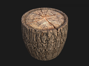 Wooden Stump 3D 模型