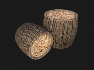 Wooden Stump Modelo 3D