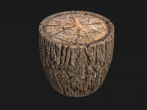 Wooden Stump Modelo 3D