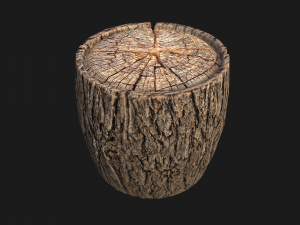 Wooden Stump Modelo 3D